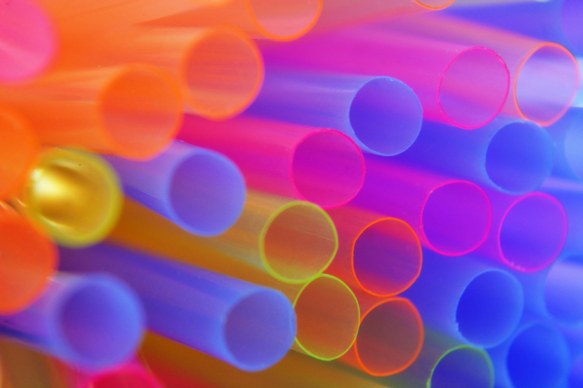 Microplastics in the Body? Unfortunately, Yes